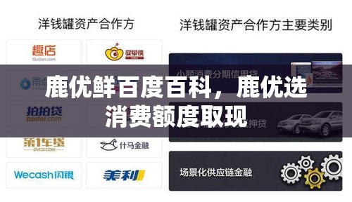 2025年的姓氏排行榜最新，2028姓氏