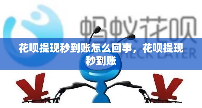 2021角色排行，2025角色热度排行榜