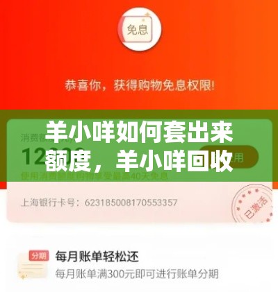 2025雷军粉丝排行榜，2020年雷军有多少钱