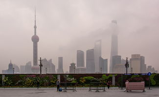 上海高端楼盘排行榜2025，上海市高档楼盘