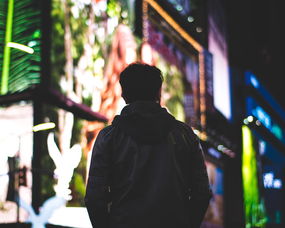 2025男主热度排行榜，比较火的男主角